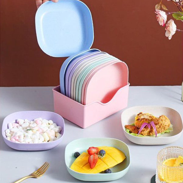 10Pcs Plates Set with Holder (Random Colors)